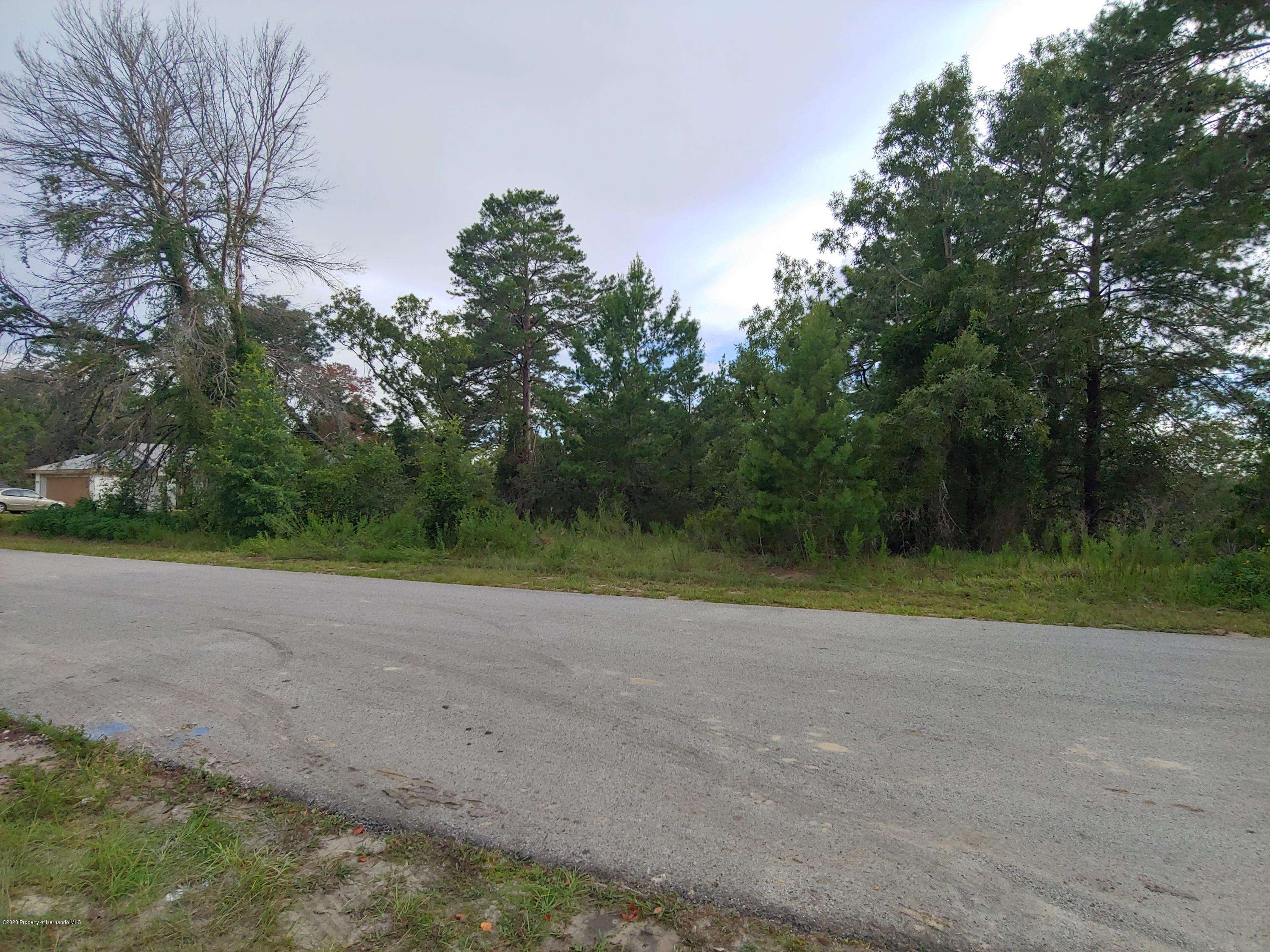 Spring Hill, FL 34609,Grapewood Road