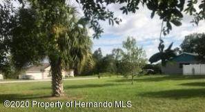 Spring Hill, FL 34609,0 Chamberlain Street