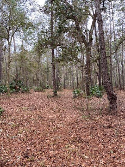 Brooksville, FL 34601,0 Goldsmith Road