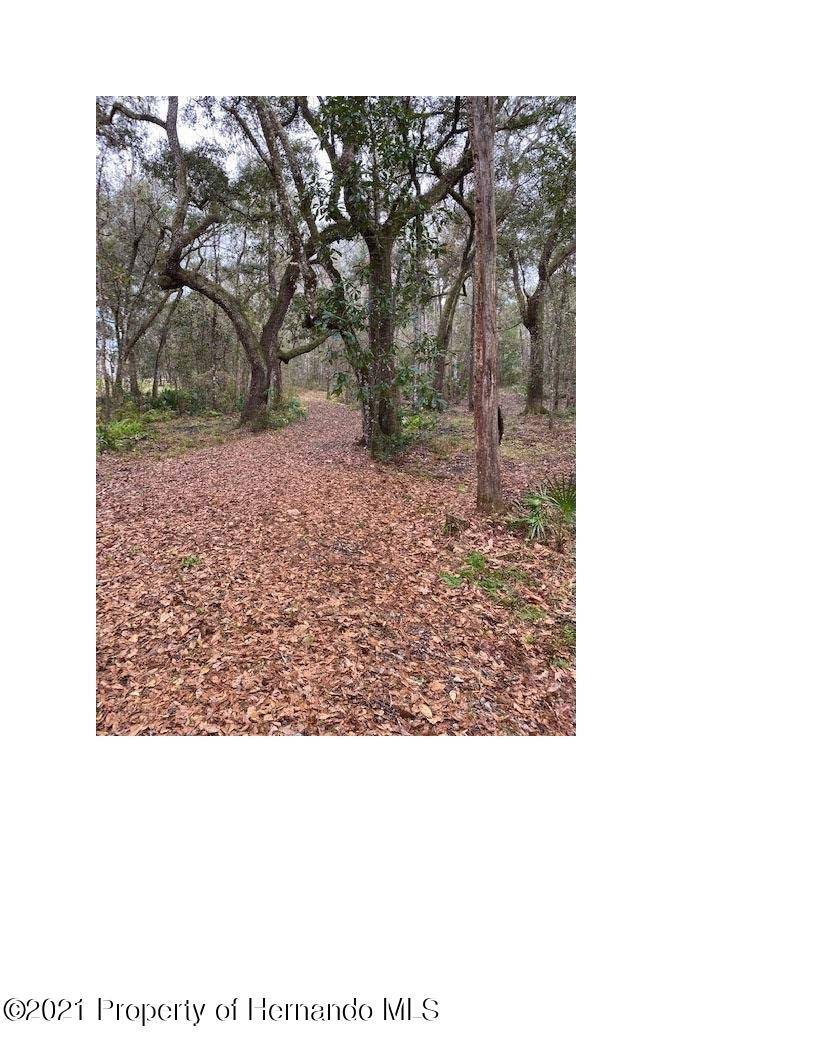 Brooksville, FL 34601,0 Goldsmith Road