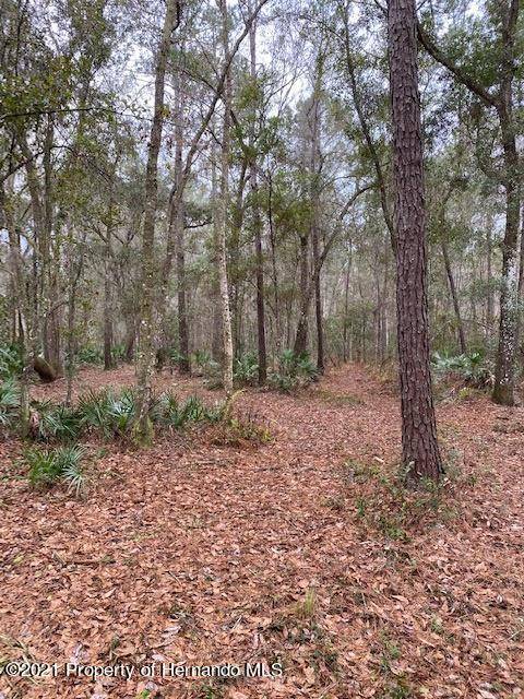 Brooksville, FL 34601,0 Goldsmith Road