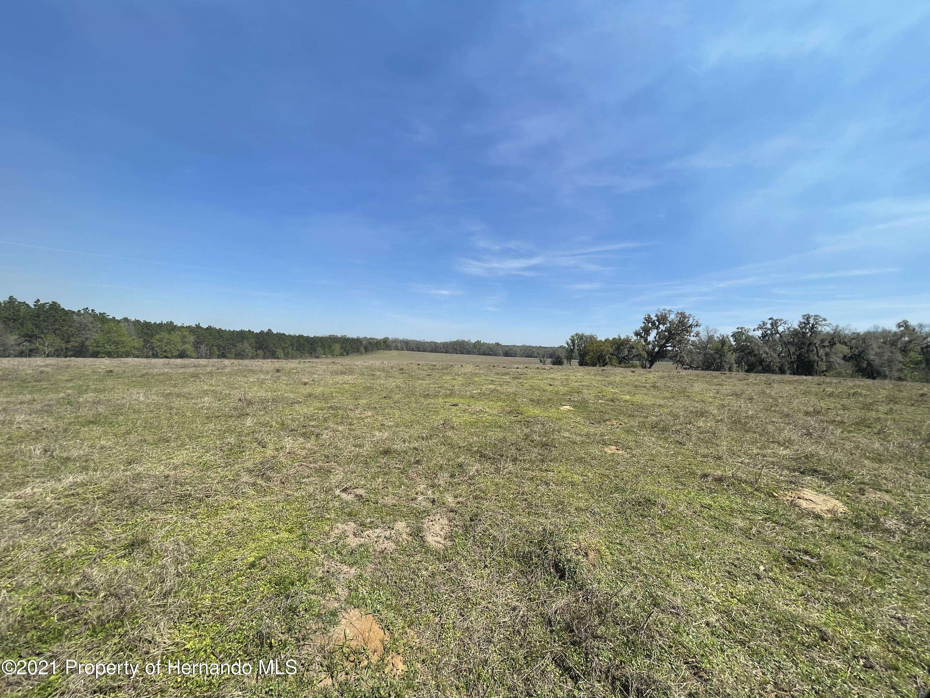 Brooksville, FL 34601,0 Parsons Road
