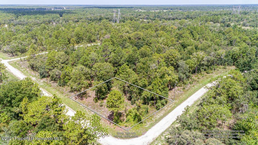 Weeki Wachee, FL 34614,Sooty Tern Avenue