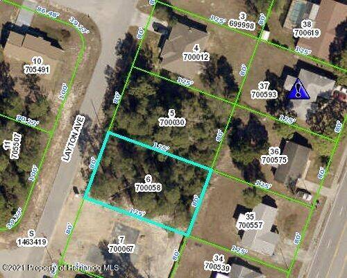 Spring Hill, FL 34608,0 Layton Avenue