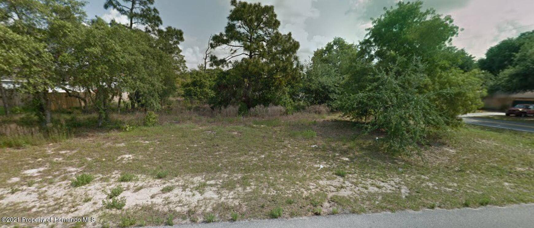 Spring Hill, FL 34609,8 Santee st