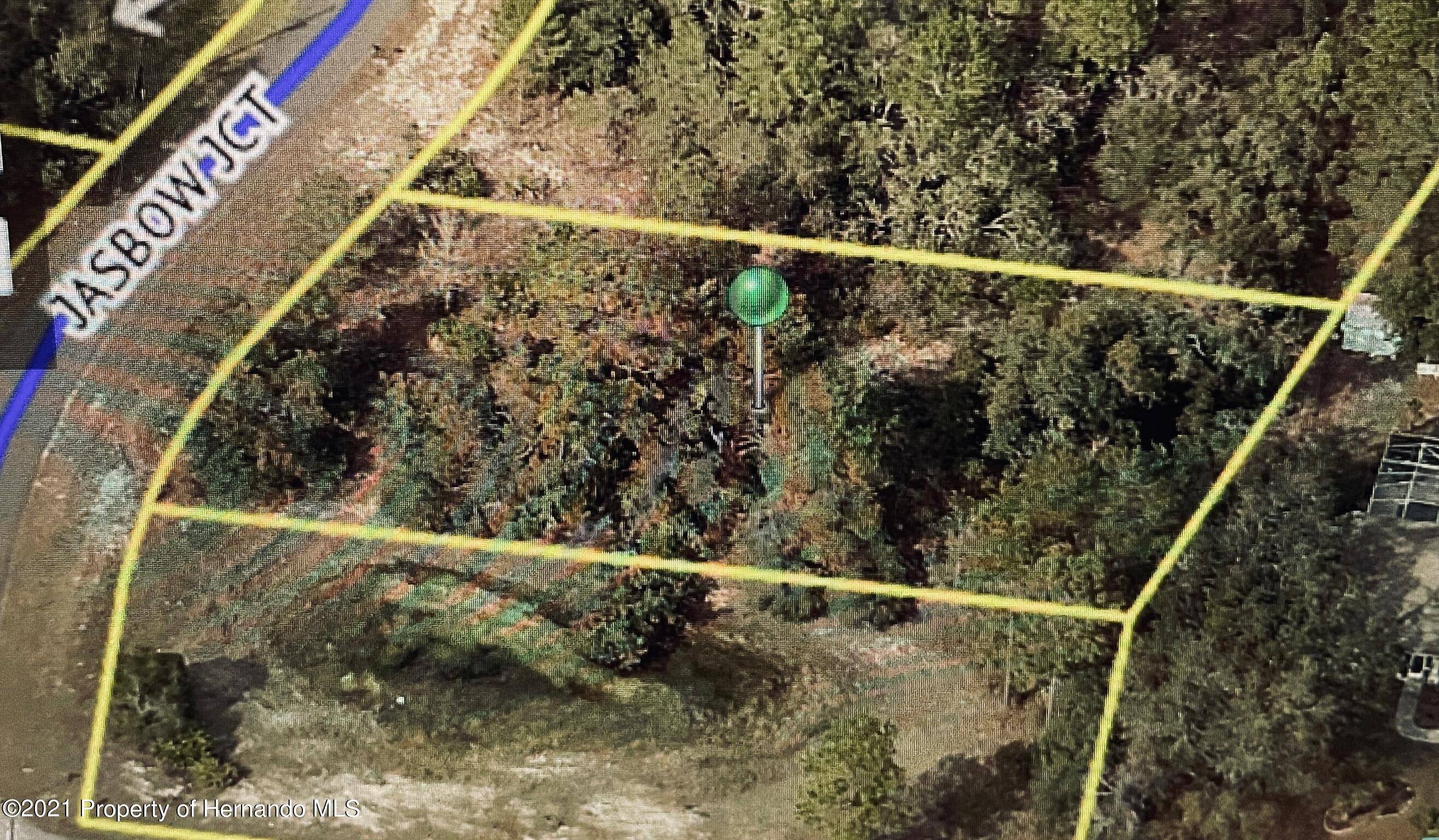 Weeki Wachee, FL 34613,0 Jasbow Junction