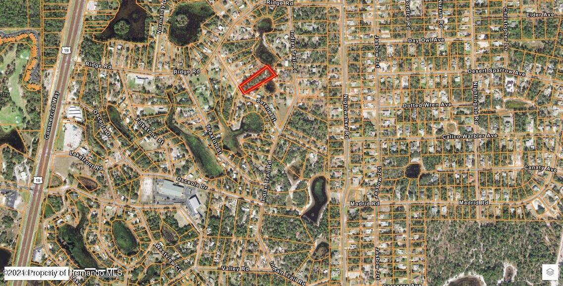 Weeki Wachee, FL 34613,Serene Street