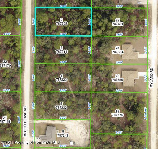 Brooksville, FL 34614,15316 MOTTLED OWL Road