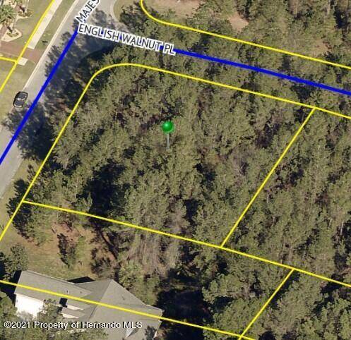 Brooksville, FL 34601,19845 English Walnut Place