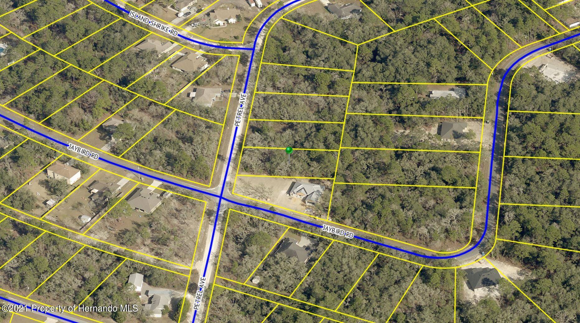 Brooksville, FL 34614,12084 Petrel Avenue