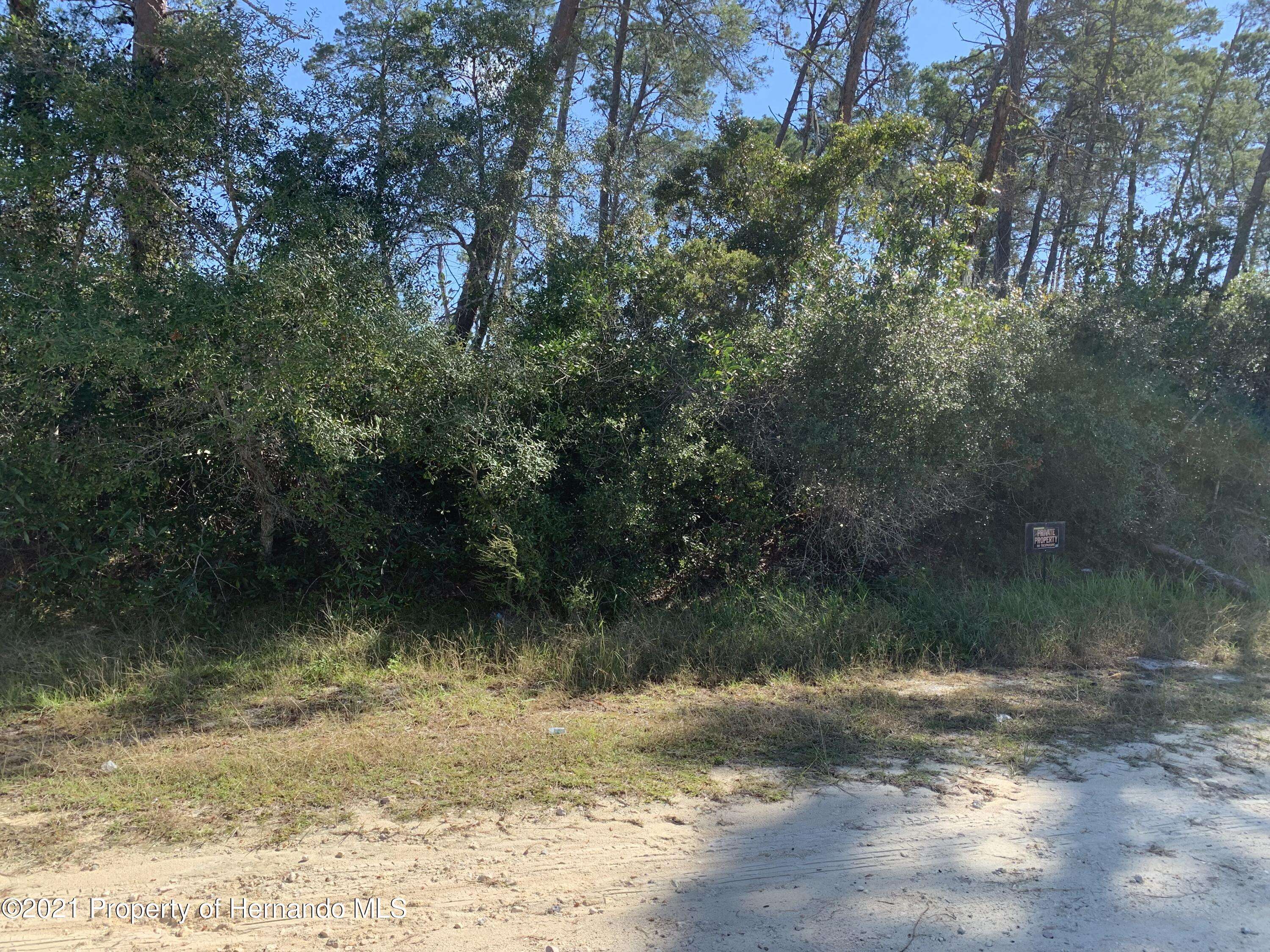 Weeki Wachee, FL 34613,0 Orinoco Road