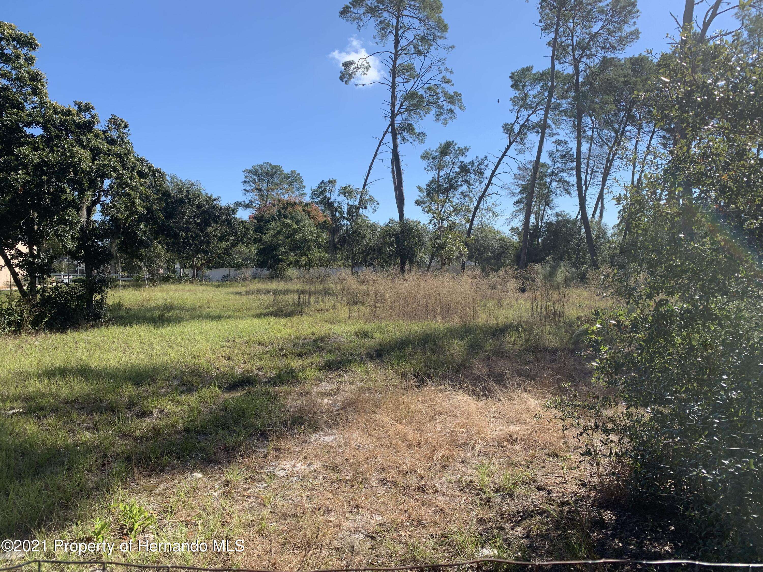 Weeki Wachee, FL 34613,0 Orinoco Road