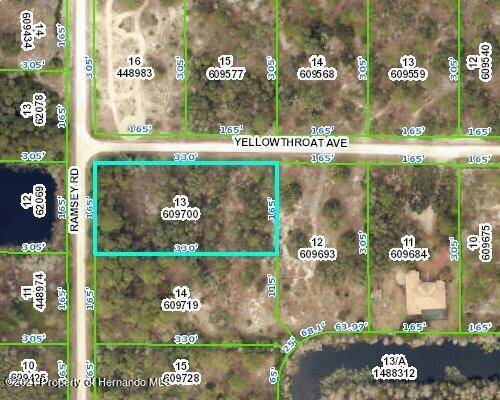 Weeki Wachee, FL 34614,13 YELLOWTHROAT Avenue