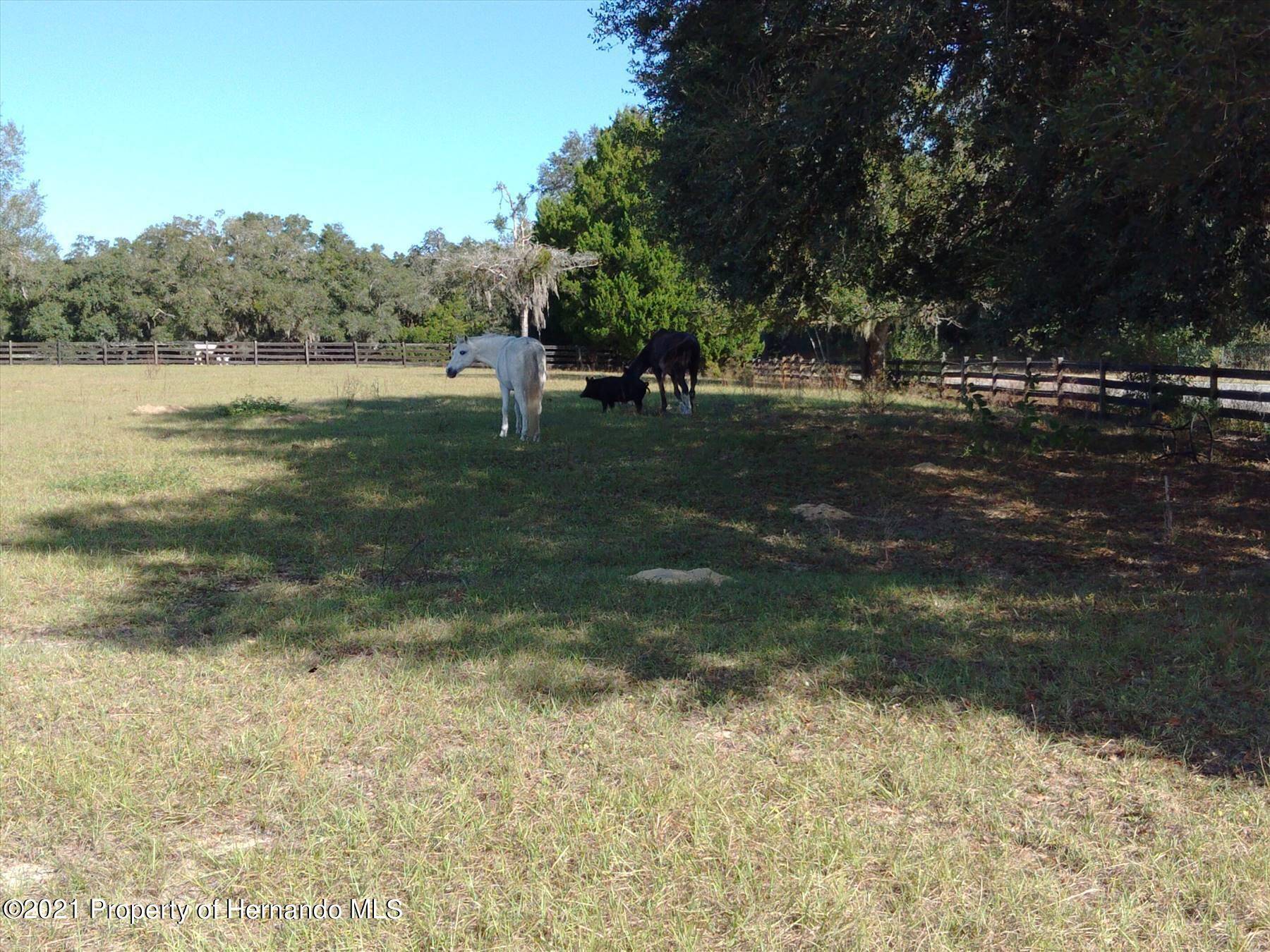 Brooksville, FL 34601,Daly Road