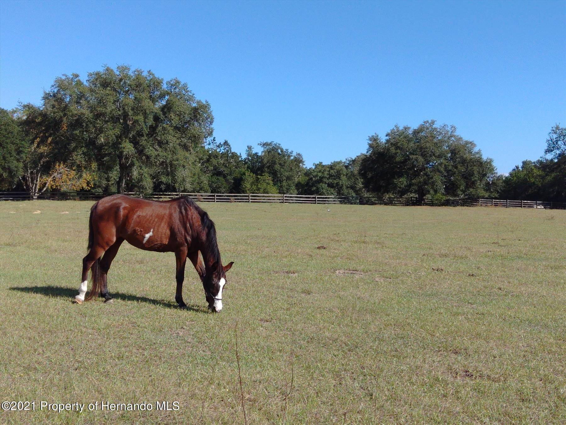 Brooksville, FL 34601,Daly Road