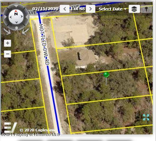 Brooksville, FL 34614,15446 MOTTLED OWL Road