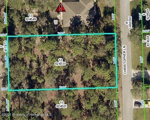 Weeki Wachee, FL 34613,0 Christopher Lane