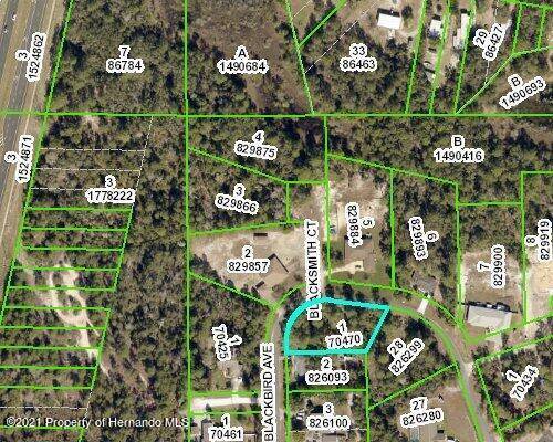 Weeki Wachee, FL 34613,0 Blackbird Avenue