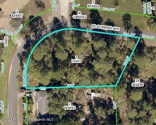 Weeki Wachee, FL 34613,0 Blackbird Avenue