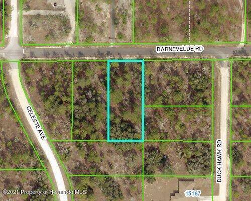 Brooksville, FL 34614,13314 Barnevelde Road