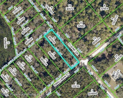 Webster, FL 33597,0 SMALLMAN Street