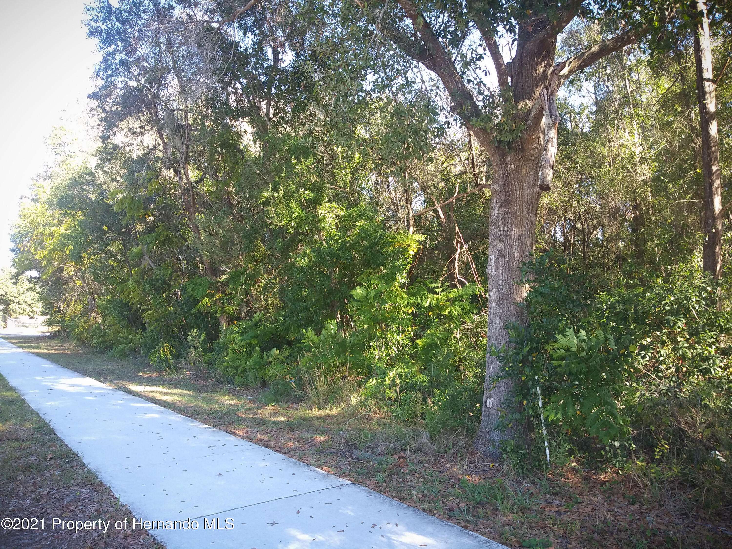 Hudson, FL 34669,13058 Hicks Road