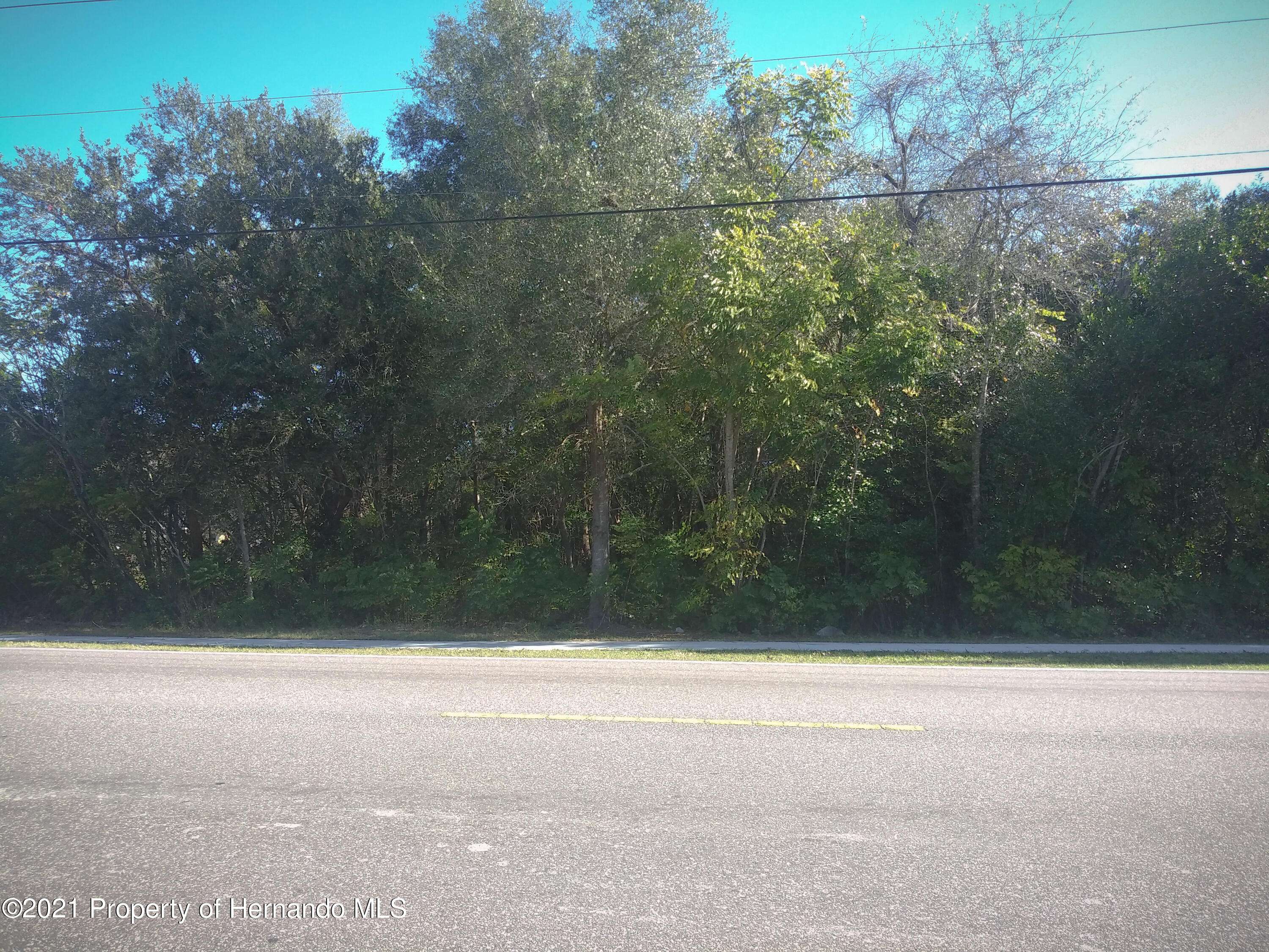 Hudson, FL 34669,13058 Hicks Road