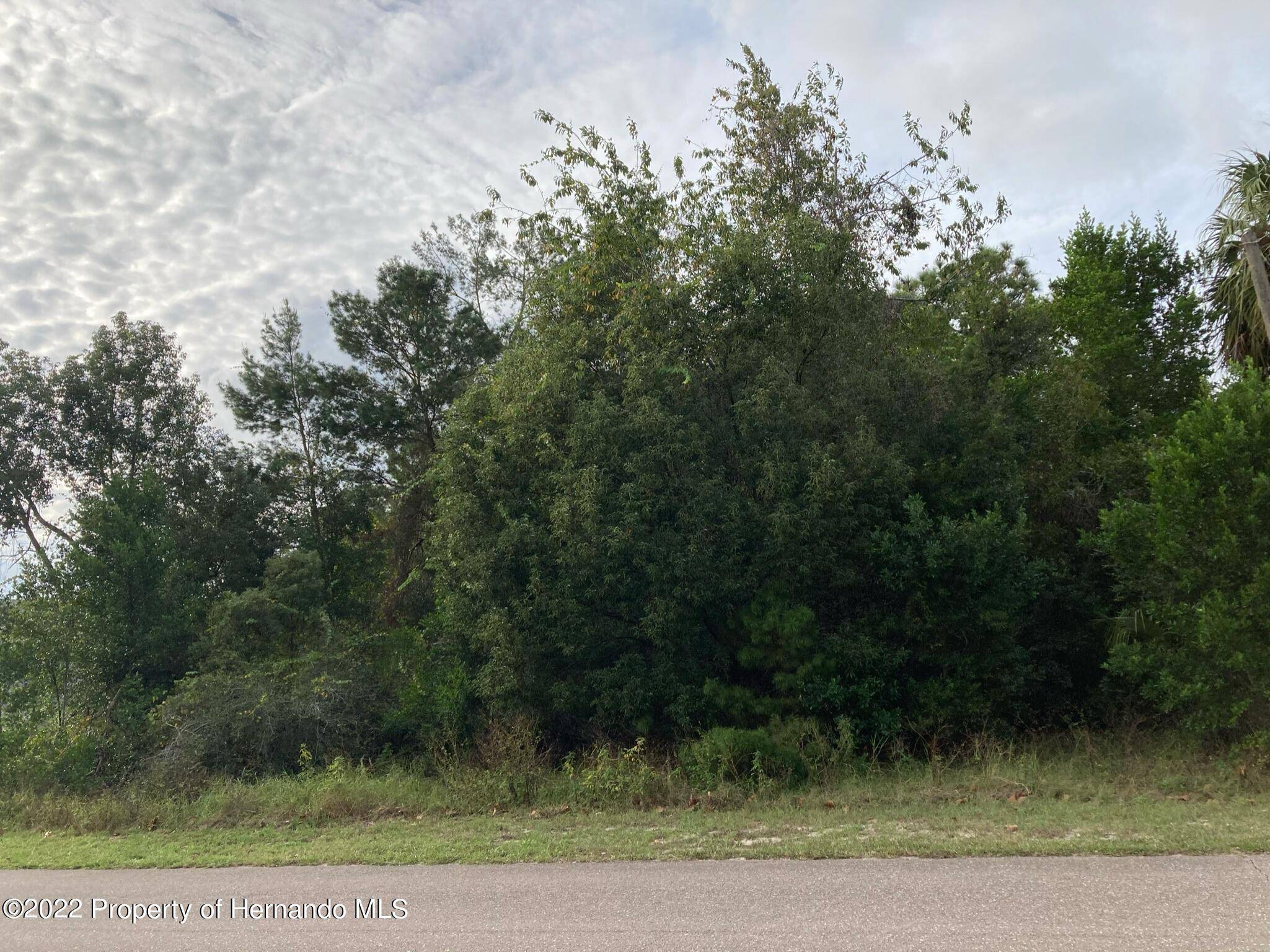 Spring Hill, FL 34609,Ainsworth