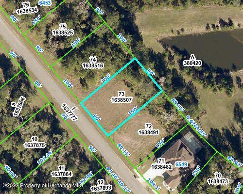 Brooksville, FL 34601,6513 Summit View Drive