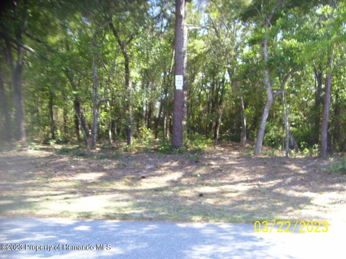 Spring Hill, FL 34609,0 Trout Circle