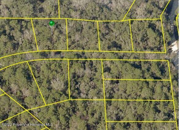 Brooksville, FL 34614,14129 RICEBIRD Avenue