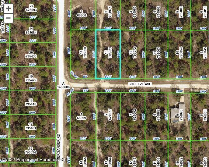 Weeki Wachee, FL 34614,13 Squeeze Avenue