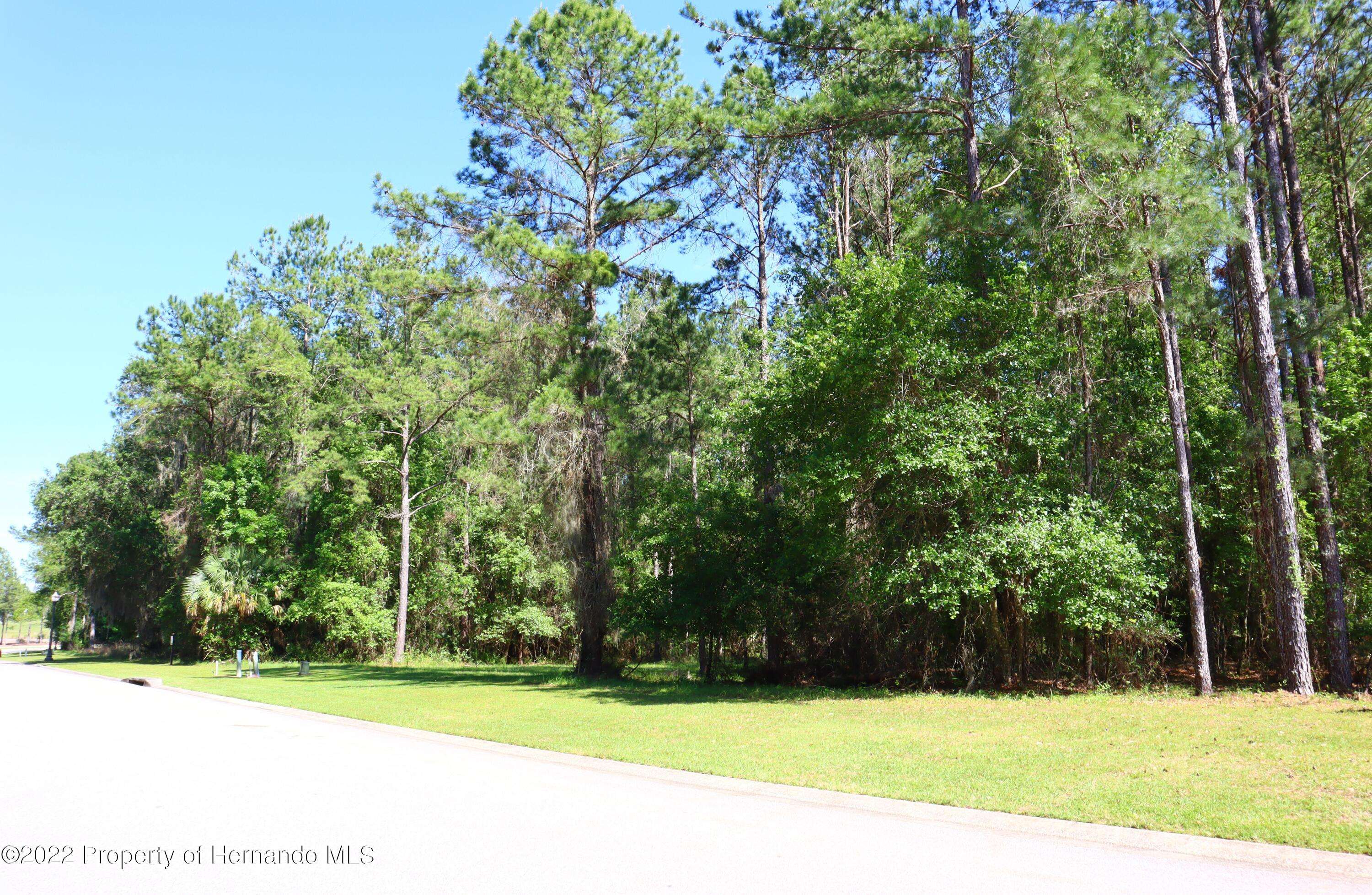 Brooksville, FL 34601,5201 Summit View Drive