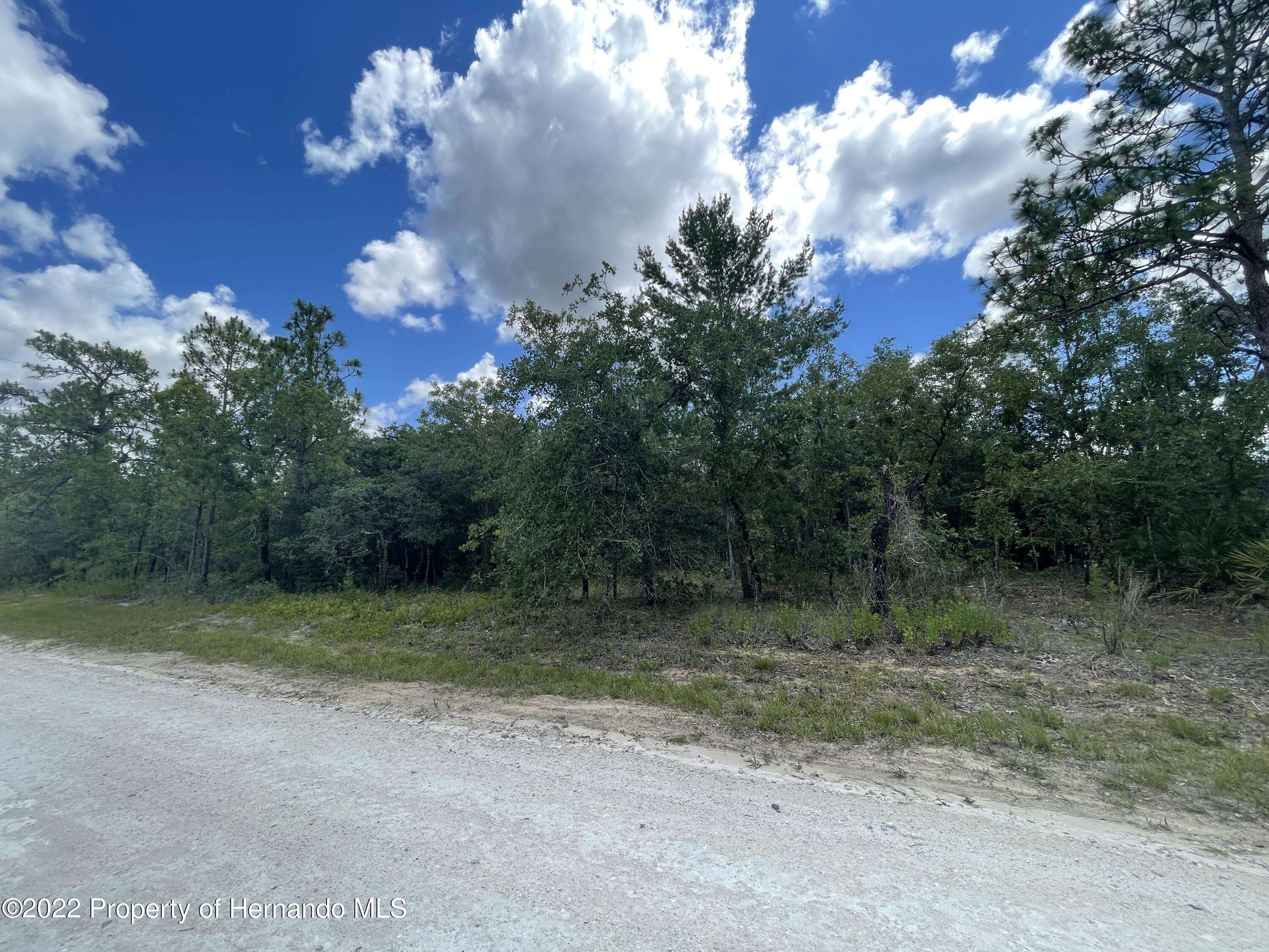 Weeki Wachee, FL 34614,29 Eastern Phoebe