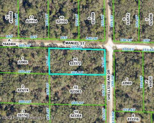 Webster, FL 33597,0 Manuel Street