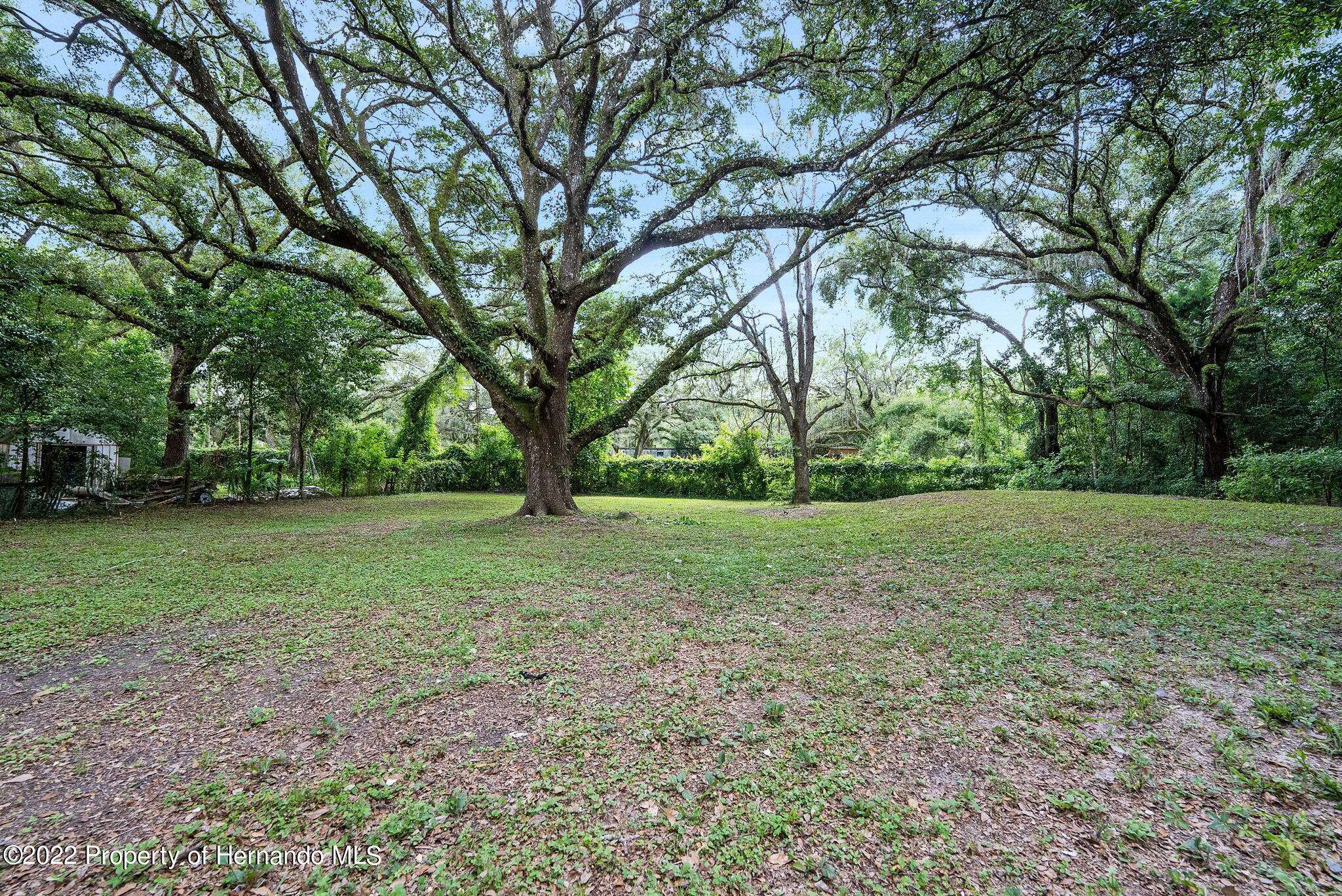 Spring Hill(pasco), FL 34610,20120 Somerset Acres Lane