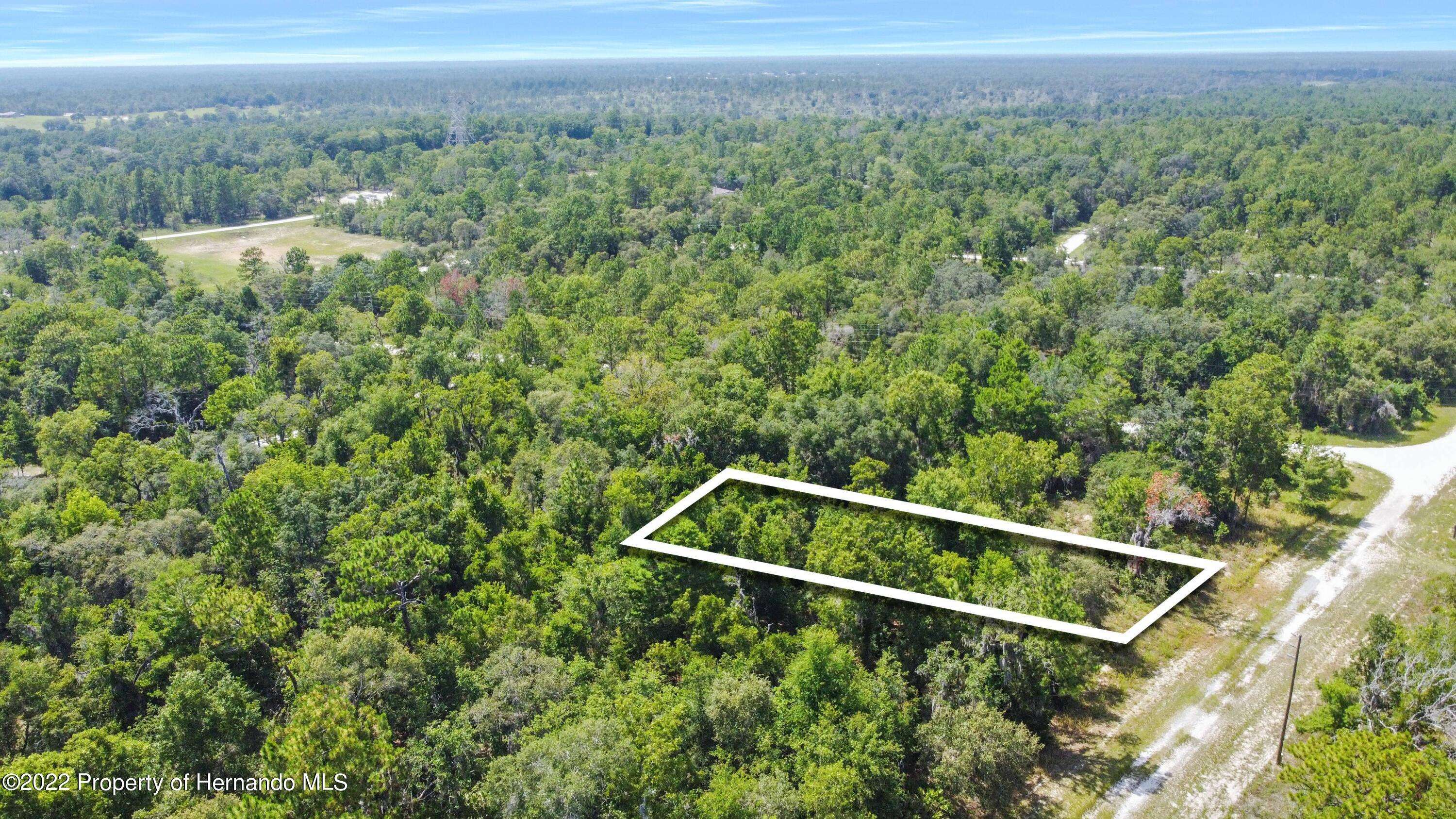 Weeki Wachee, FL 34614,0 Curlew Road