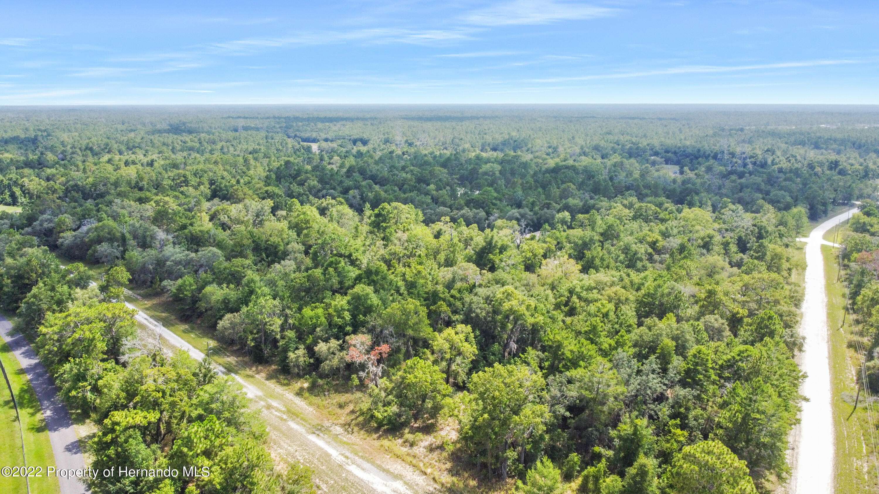 Weeki Wachee, FL 34614,Curlew Road