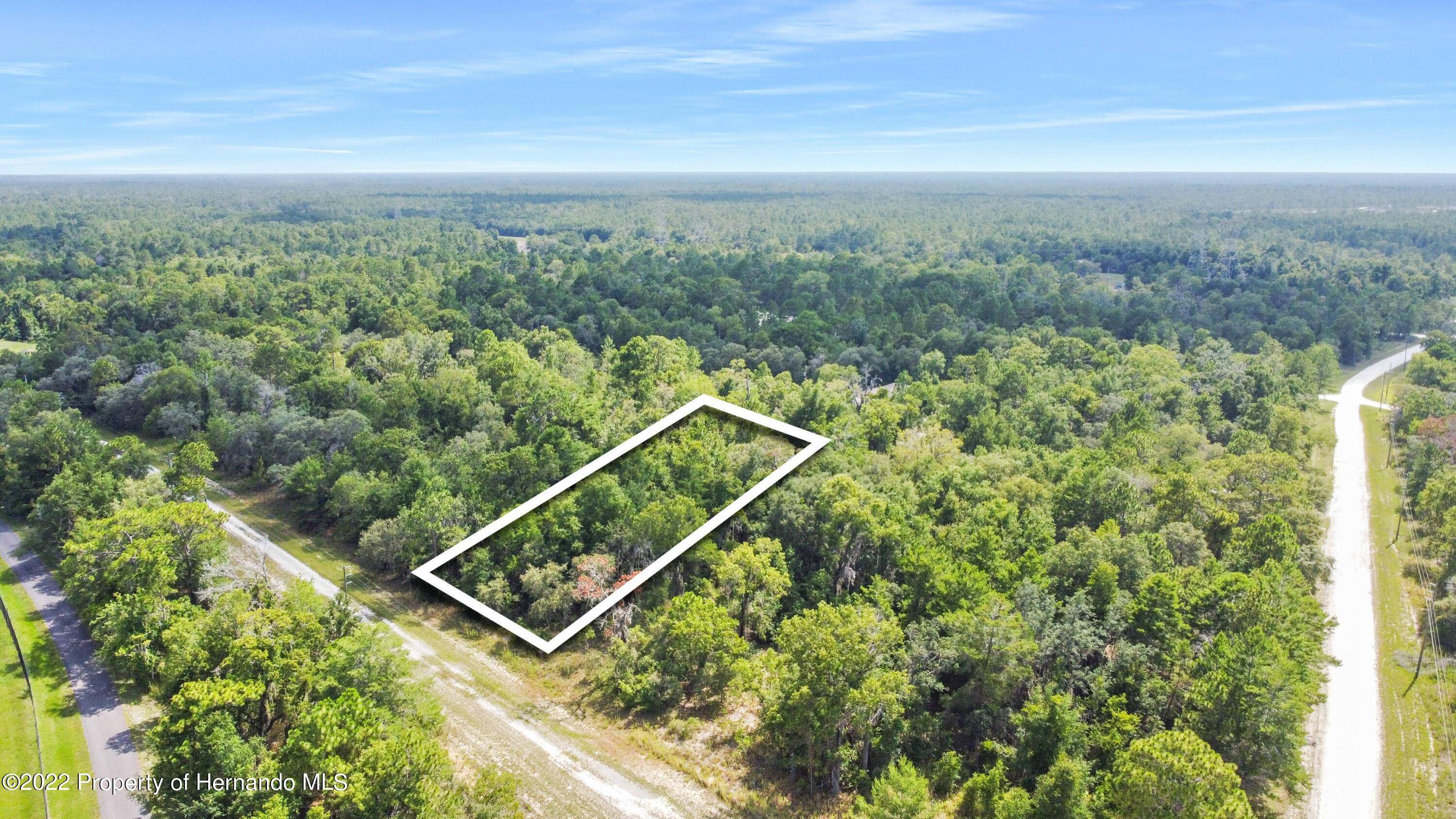 Weeki Wachee, FL 34614,Curlew Road