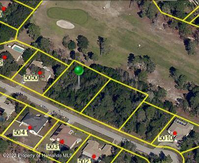 Spring Hill, FL 34608,Lydia Court