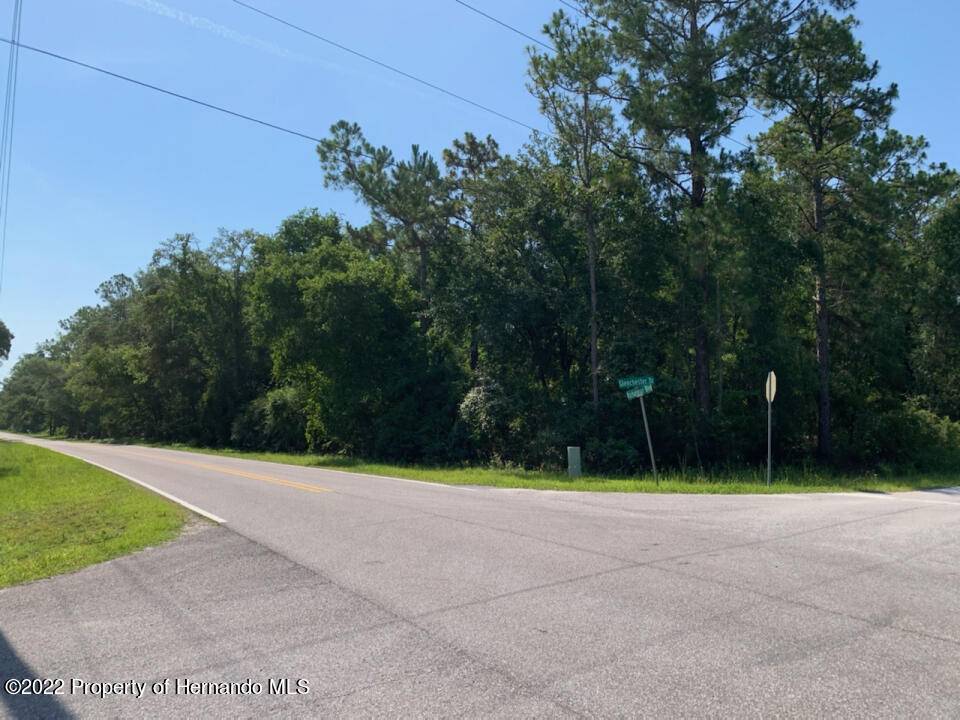 Webster, FL 33597,Glenchester Drive