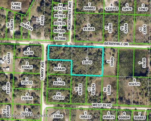 Webster, FL 33597,0 Berryhill Drive