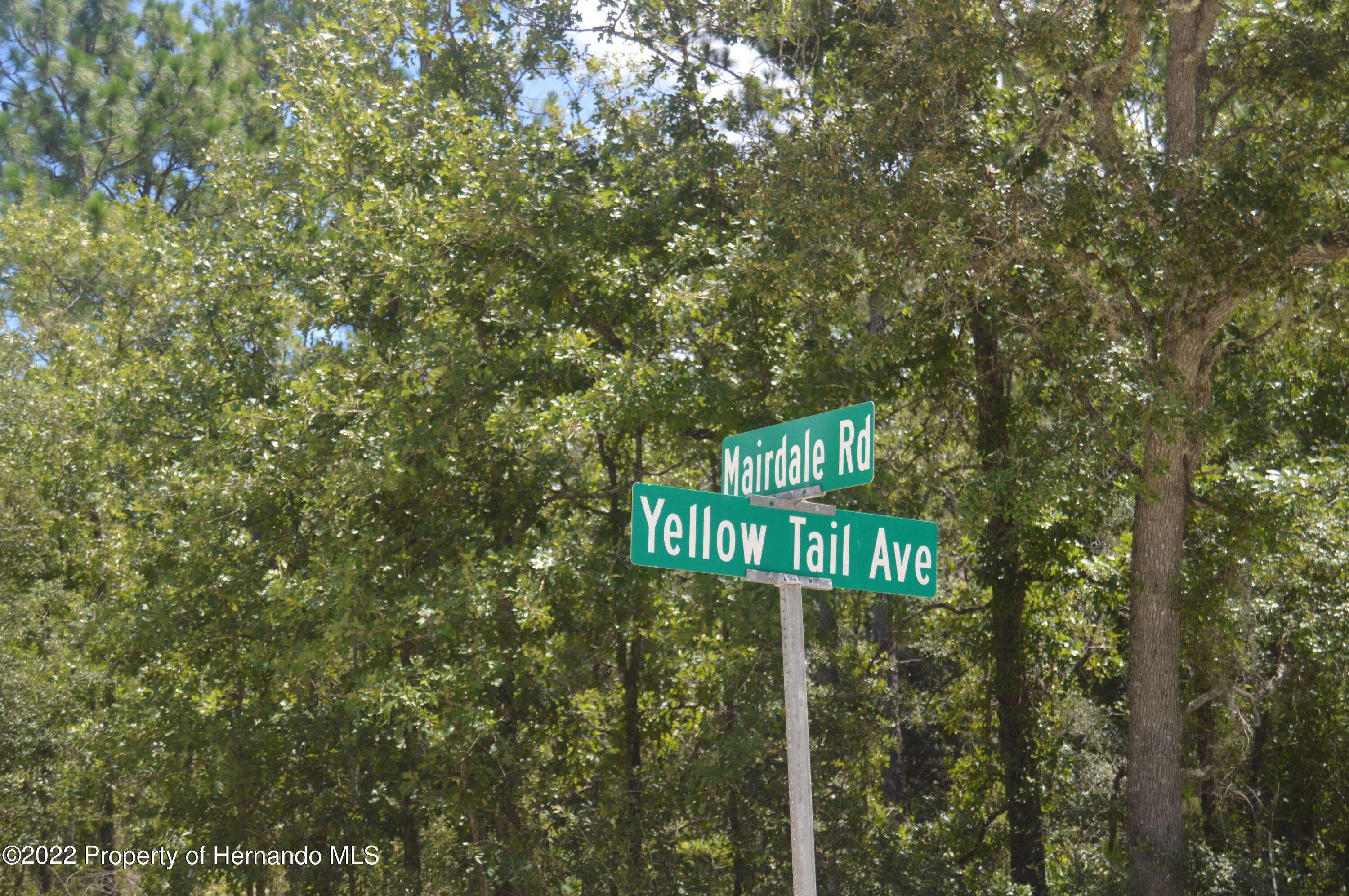 Weeki Wachee, FL 34614,1 Yellow Tail Avenue