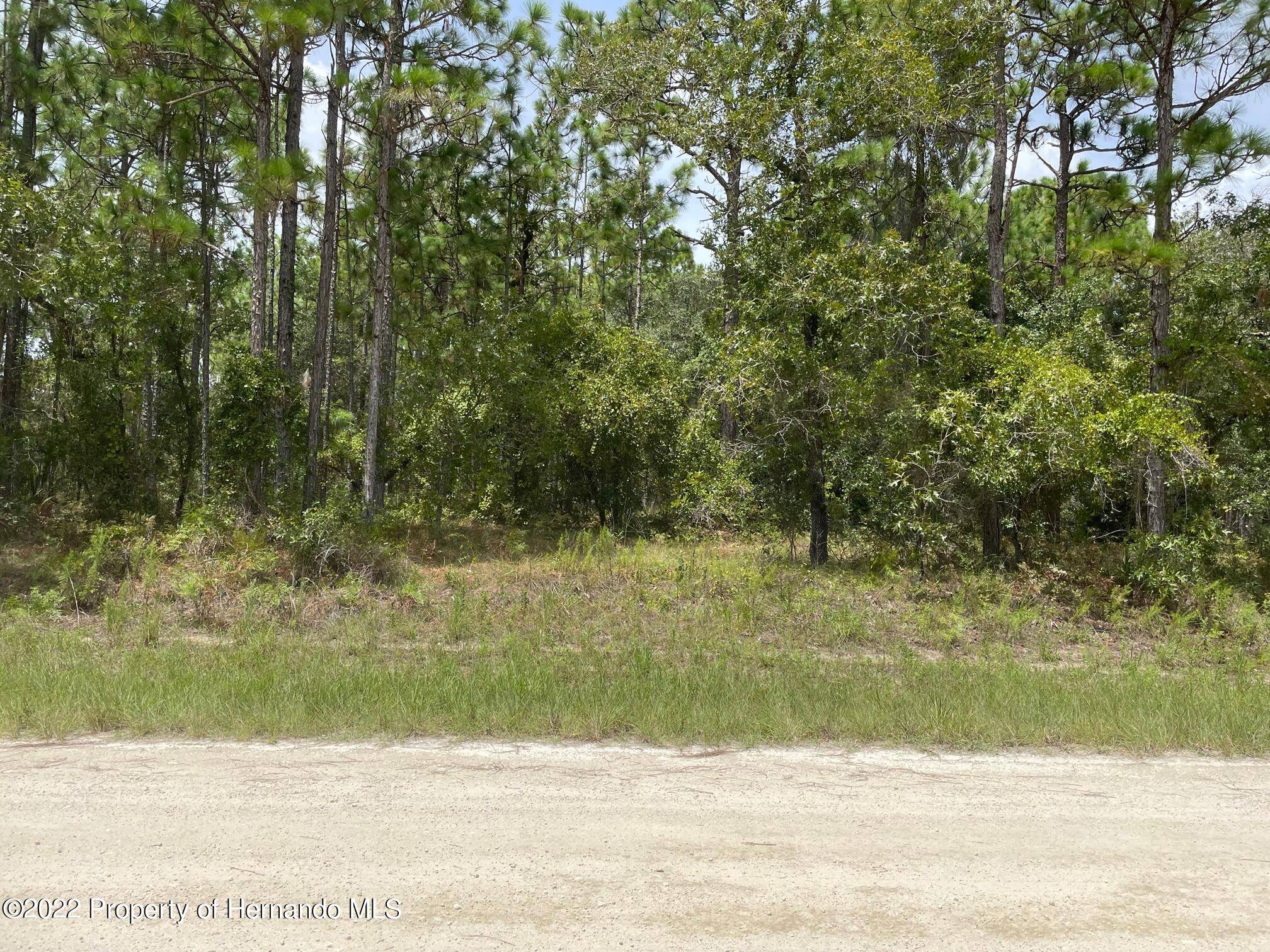 Weeki Wachee, FL 34614,8 Dusky Sparrow Road