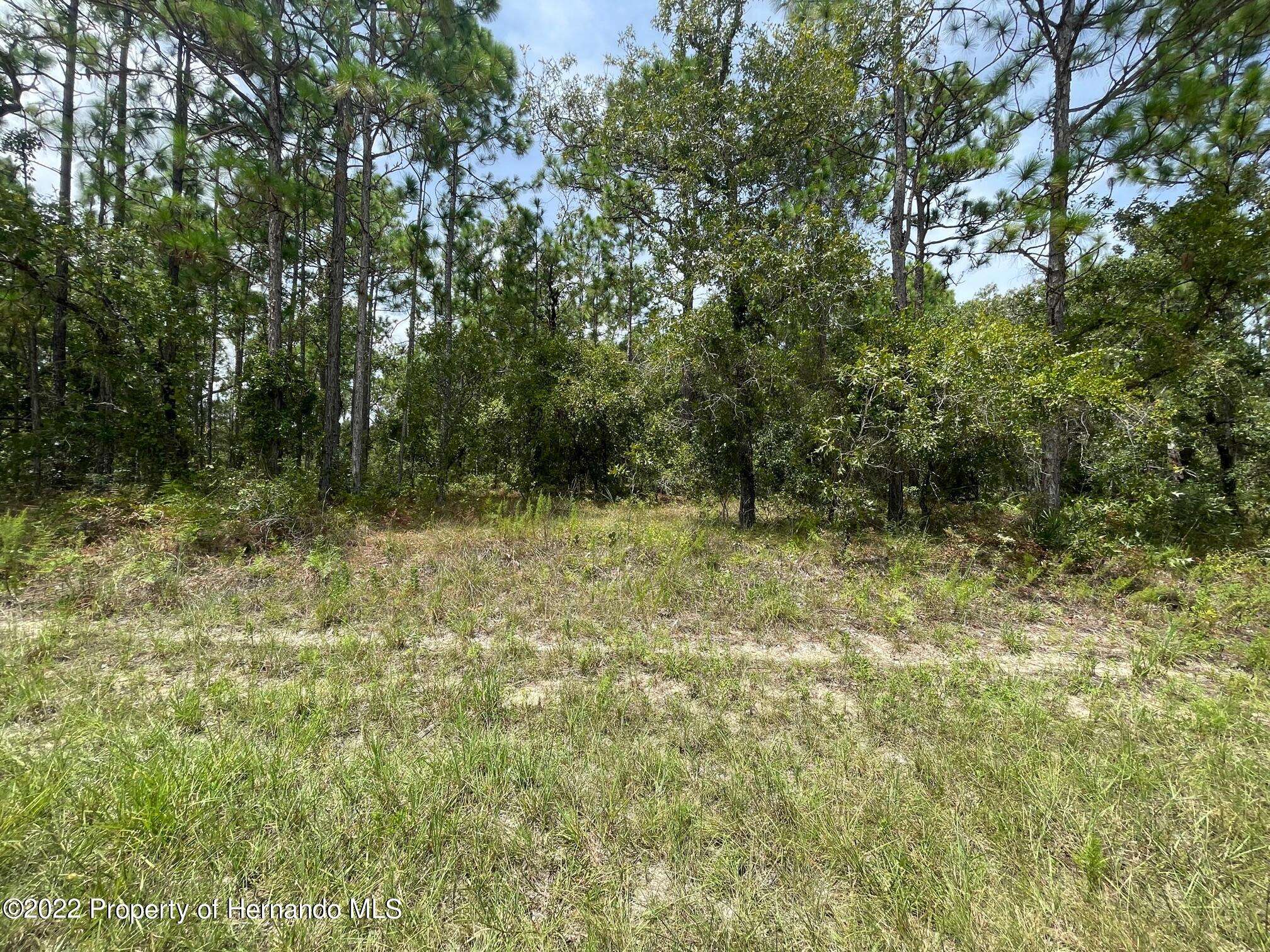 Weeki Wachee, FL 34614,8 Dusky Sparrow Road