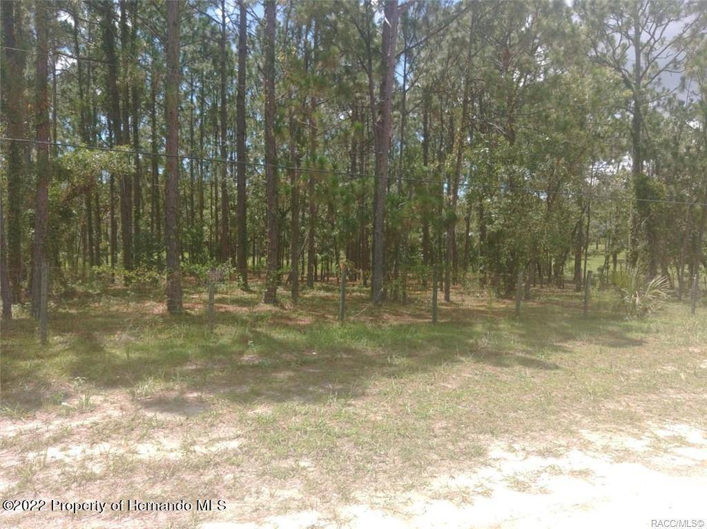 Spring Hill, FL 34609,Smithfield Avenue