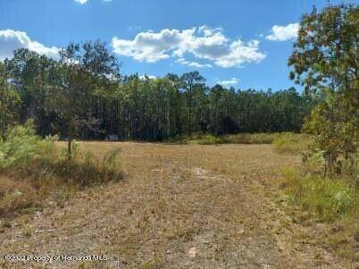 Spring Hill, FL 34609,5411 Golddust Road