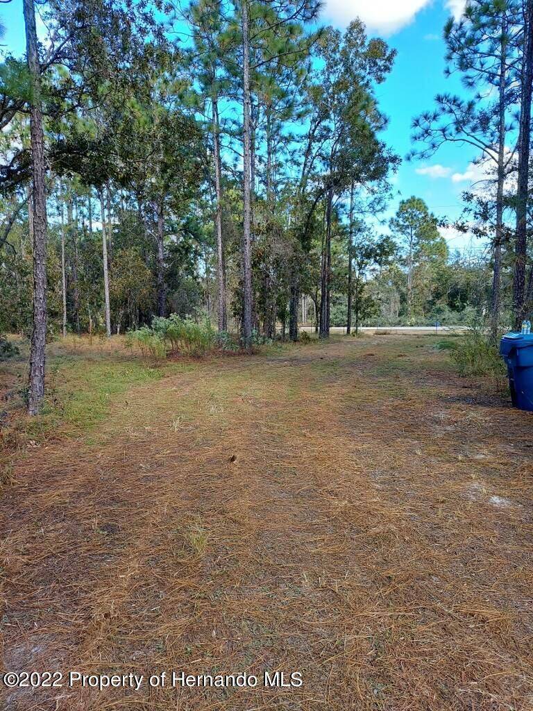 Spring Hill, FL 34609,5411 Golddust Road