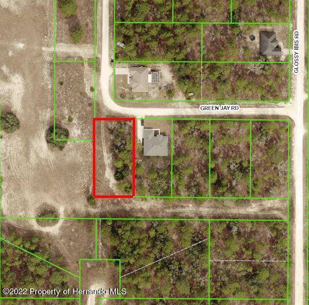 Brooksville, FL 34614,Green Jay Rd Lot 1