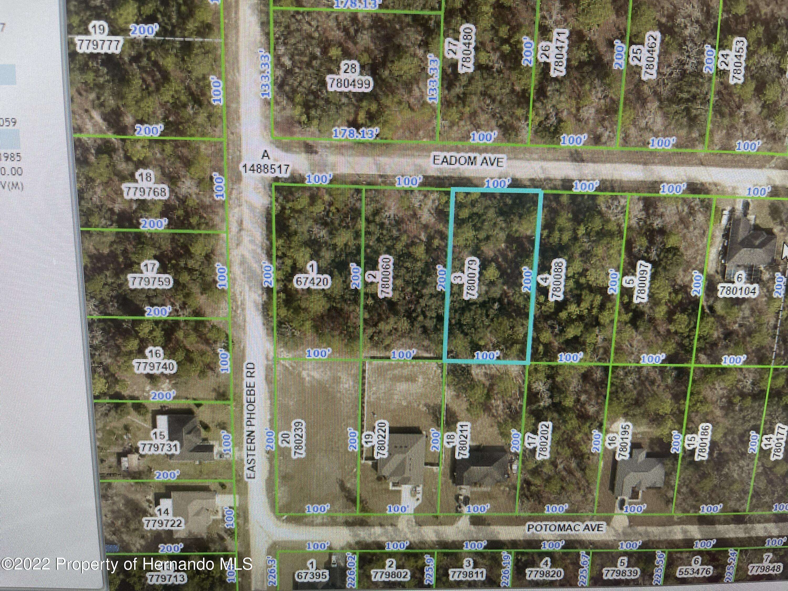 Weeki Wachee, FL 34614,780079 Eadom Avenue
